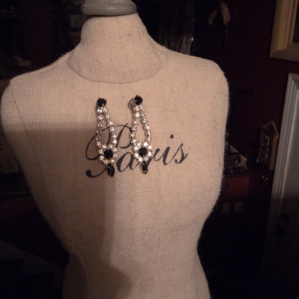Elegant Black and Silver Drop Earrings